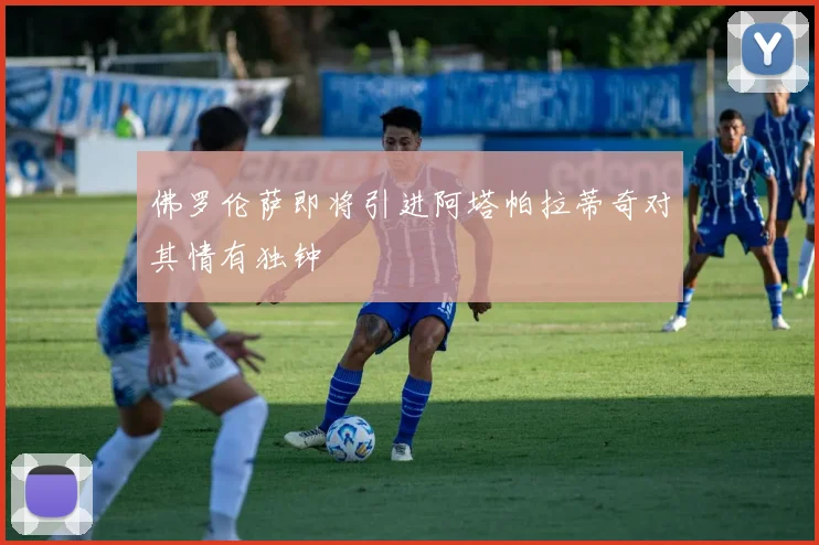 佛罗伦萨即将引进阿塔帕拉蒂奇对其情有独钟